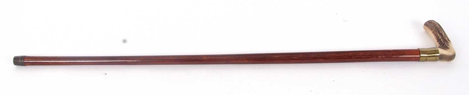 A horn handled walking stick, the pull off handle reveals a barrel holding a corkscrew (a/f) - Image 4 of 6