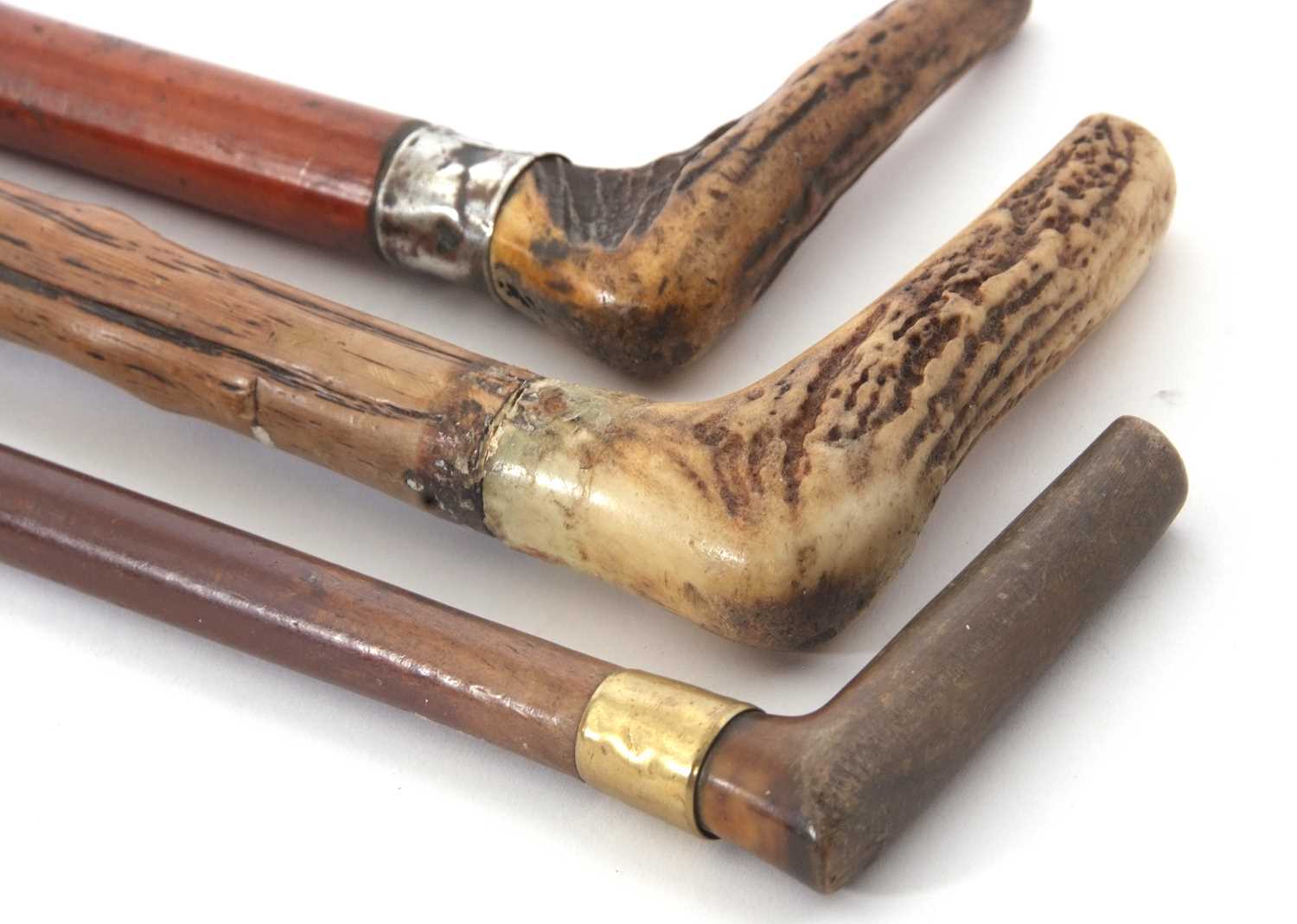 Three vintage walking sticks, two stag horn handled examples and one other (a/f) (3) - Image 4 of 5