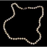 A cultured pearl necklace, the uniform cultured pearls, each approx. 5mm diameter, with silver