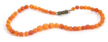 An amber bead necklace, the slightly graduated round amber beads, between 6.5 - 11mm diameter,