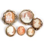 Six various shell cameos, one with mount stamped 375, (6)