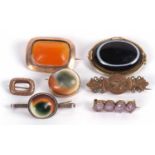 Seven brooches to include a carnelian speciment brooch in unmarked yellow metal mount, an oval