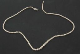 A cultured pearl necklace with diamond clasp, the graduated cultured pearls with unmarked white