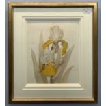 Olga Makrushenko (Russian, b.1956), ' Yellow and White Iris', watercolour, signed and dated 2006,