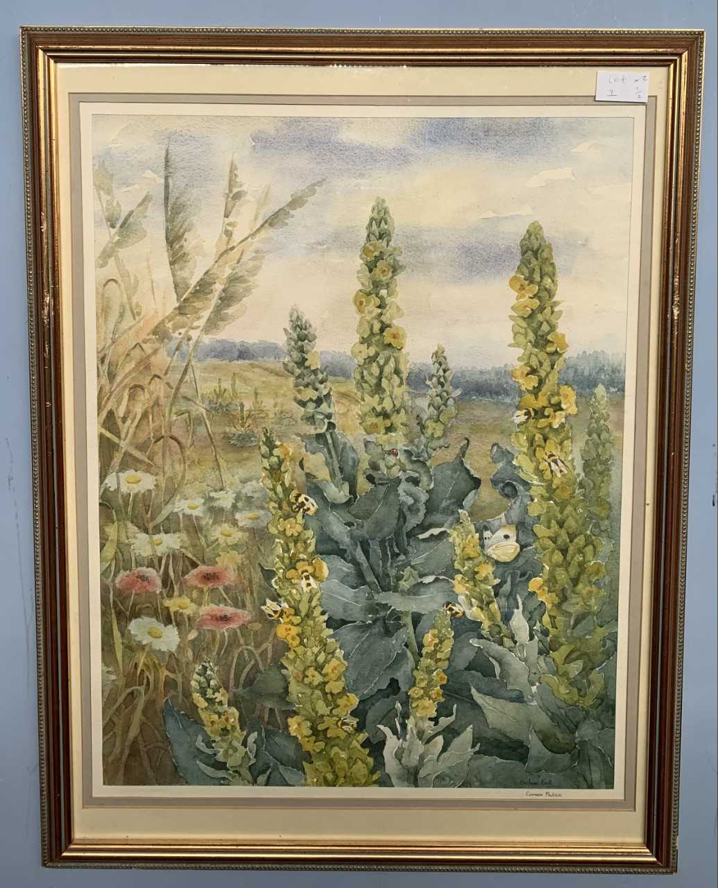 Barbara Booth (British, 20th century), "Common Mullein" and "Meadow Sweet with Small Tortoiseshell