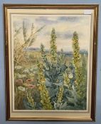 Barbara Booth (British, 20th century), "Common Mullein" and "Meadow Sweet with Small Tortoiseshell