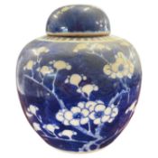 Chinese porcelain ginger jar and cover, the blue ground with prunus decoration