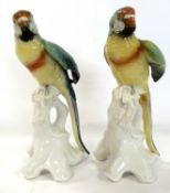 Pair of continental porcelain parrots by Karl Ens on shaped tree stump bases, 26cm high