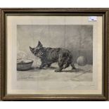 After Maud Earl (British American 1864-1943), "Stumped", signed artist's proof, 14x10.5ins, framed