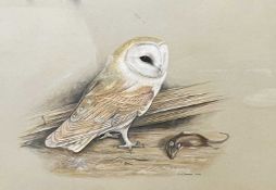 Carl Donner (British, b.1957), a Barn Owl with prey, watercolour, signed and dated 1975,