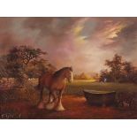 H TAYLOR (British 20th/21st Century) Bay Shire Horse at Sunset, Oil on board, Signed lower left,