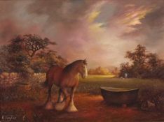 H TAYLOR (British 20th/21st Century) Bay Shire Horse at Sunset, Oil on board, Signed lower left,