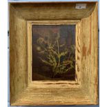 Joseph Verner (French, circa mid 20th century) A study of a thistle, oil on board,7x8.5ins,