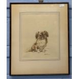 Harry Rountree (British,1878-1950), dog portrait, pencil and watercolour, on paper, signed,