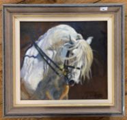 British School, 20th century, study of a horse head, indistinctly signed, oil on canvas,17.