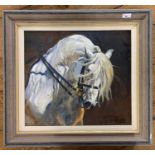 British School, 20th century, study of a horse head, indistinctly signed, oil on canvas,17.