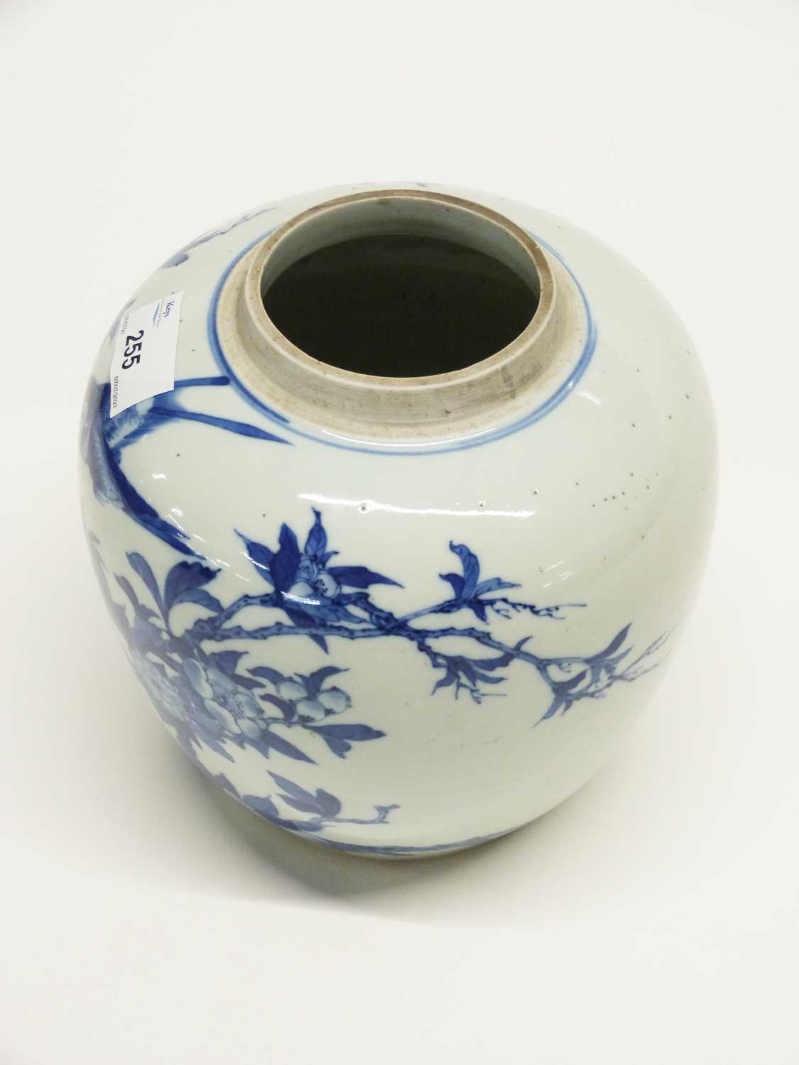 Qing Dynasty Chinese porcelain ginger jar (lacking cover), decorated in blue and white with birds on - Image 3 of 9