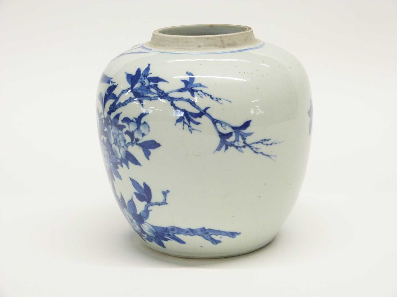 Qing Dynasty Chinese porcelain ginger jar (lacking cover), decorated in blue and white with birds on