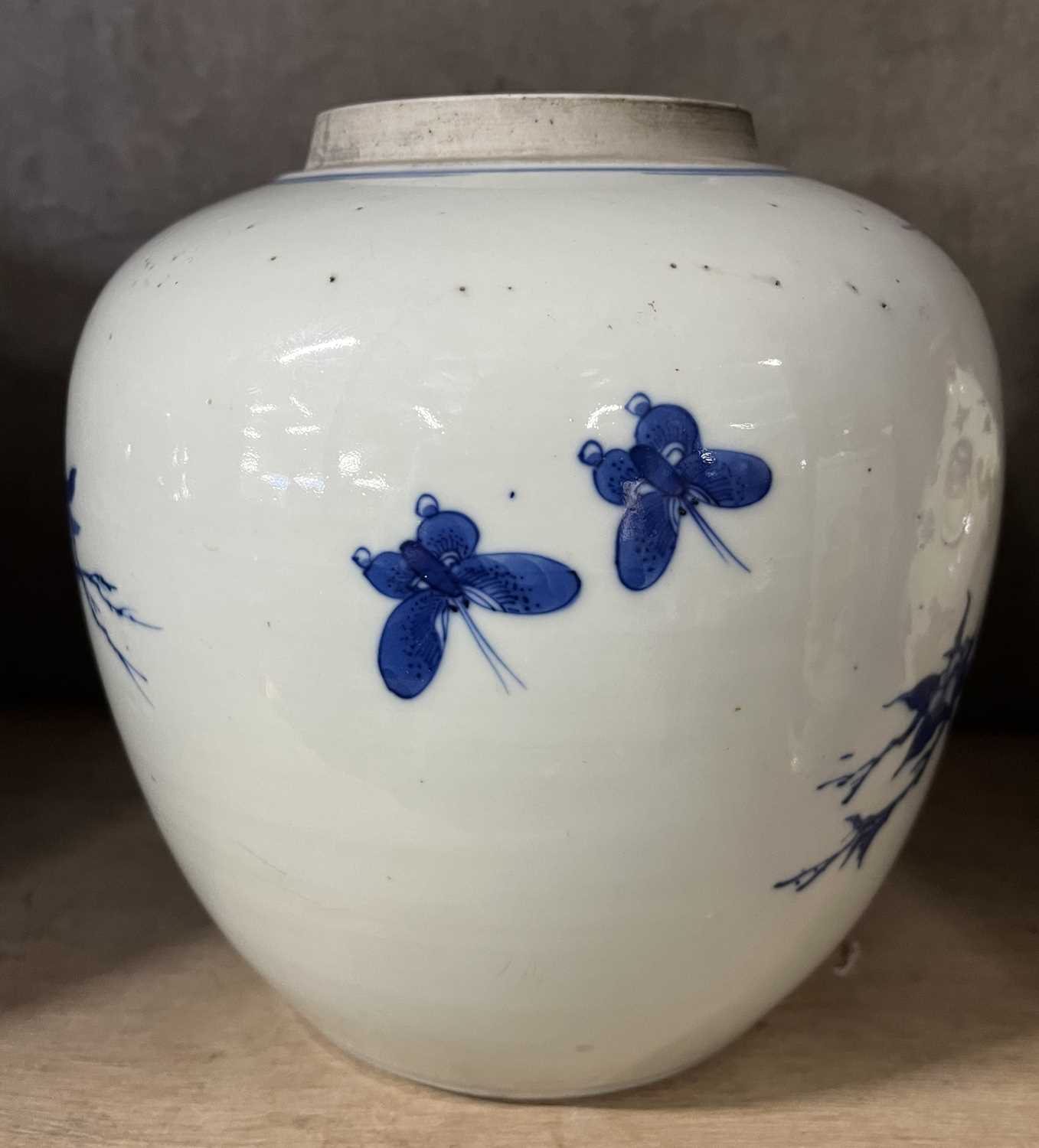 Qing Dynasty Chinese porcelain ginger jar (lacking cover), decorated in blue and white with birds on - Image 7 of 9