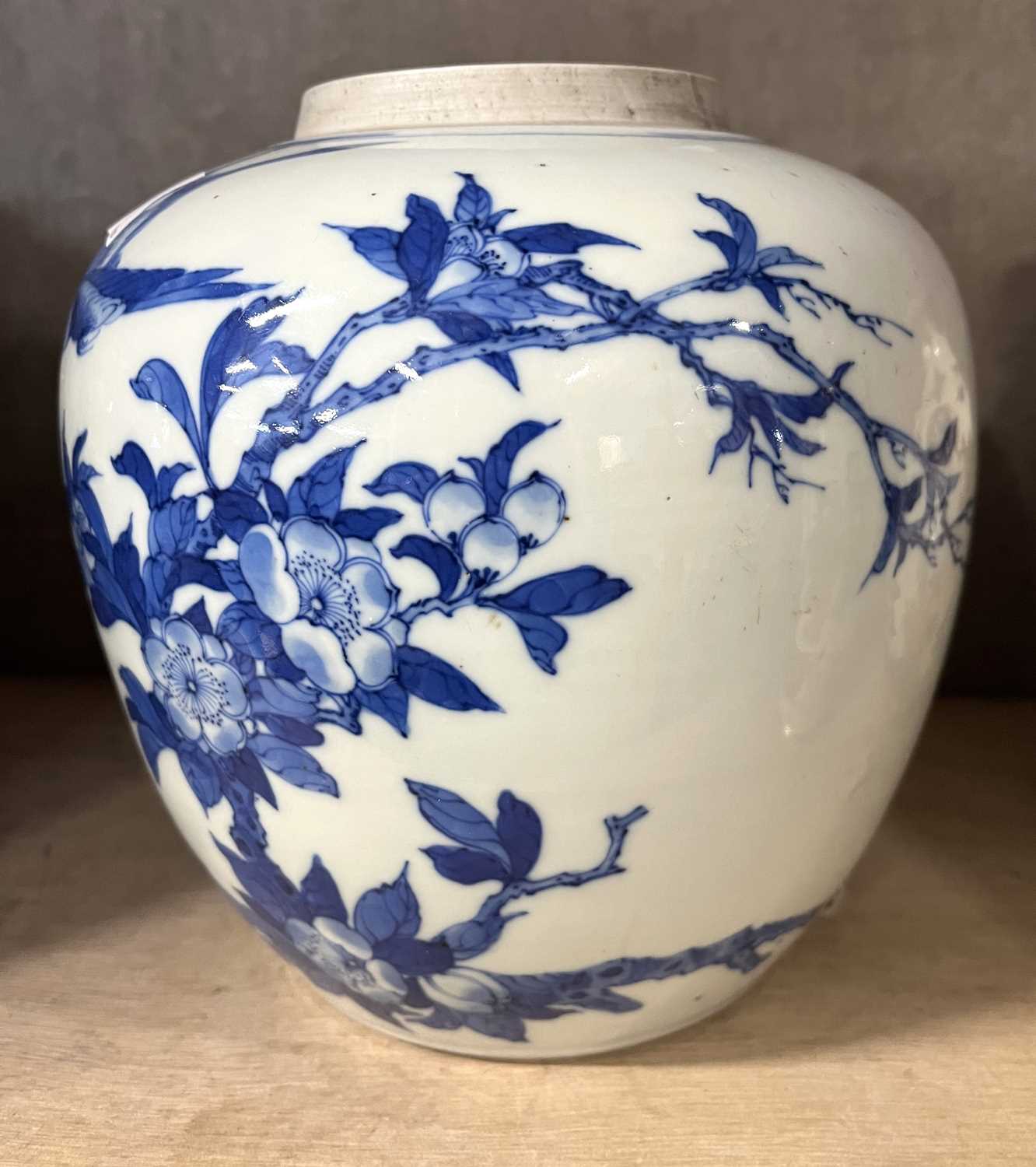 Qing Dynasty Chinese porcelain ginger jar (lacking cover), decorated in blue and white with birds on - Image 9 of 9