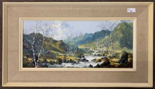 Charles Wyatt Warren (1908-1993), Welsh landscape, impasto oil on board, signed, 9x21ins, framed
