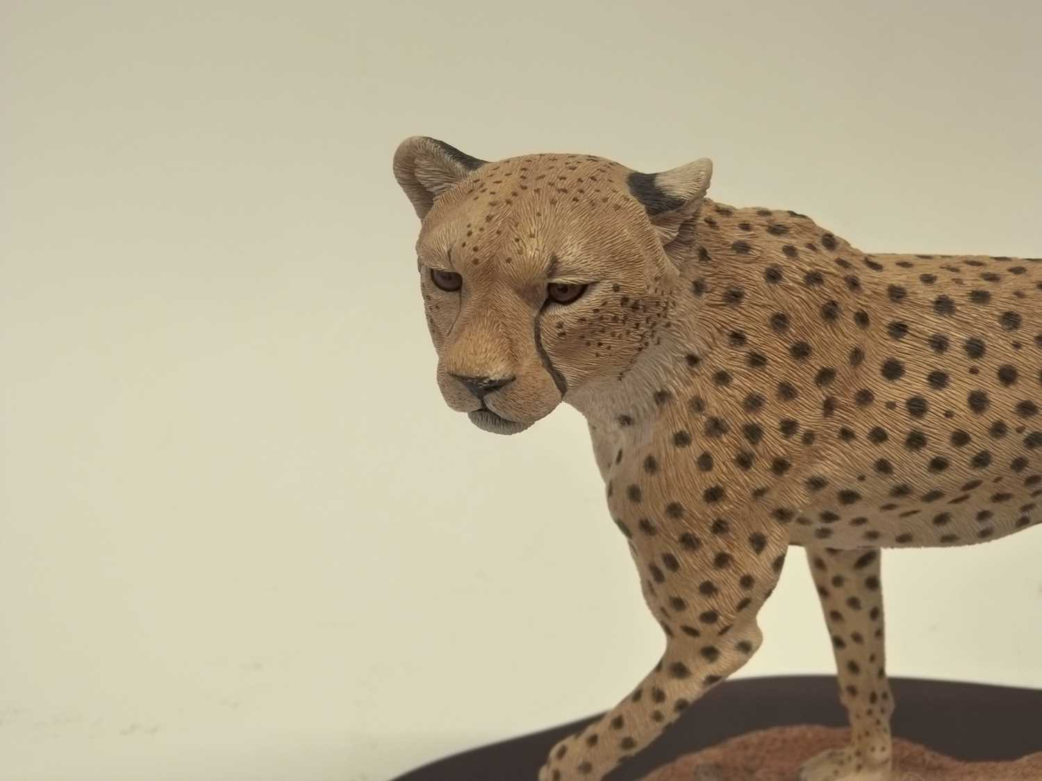 A large model of a cheetah entitled "Agile Spirit" made by Country Artists on a shaped wooden - Image 2 of 2