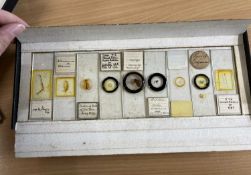 A collection of various microscope slides in fitted cases