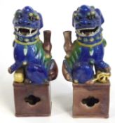 A pair of Chinese dogs of fo on brown rectangular bases, the main body with a blue Maiolica type