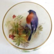 A Royal Worcester porcelain match box and cover, the cover painted with a bird