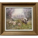 David Feather (British, 20th century), sow with piglets, oil on canvas, 24x29cm, framed and glazed.