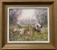 David Feather (British, 20th century), sow with piglets, oil on canvas, 24x29cm, framed and glazed.