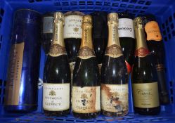 Ten bottles of sparkling wine and champagne, (10)