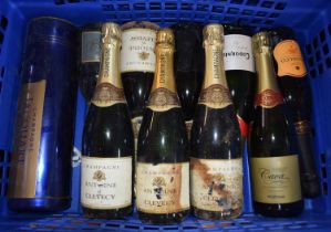 Ten bottles of sparkling wine and champagne, (10)