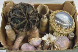 Mixed Lot: A range of Isle of Wight novelty sand sculptures in bottles, a small shell mounted