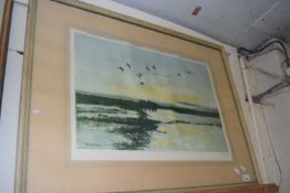 Peter Scott, mallard alighting , coloured print, signed in pencil, framed and glazed