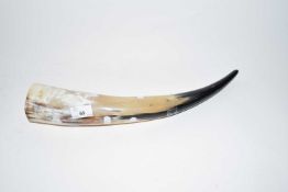 Polished cows horn