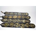 Four leather straps containing various assorted horse brasses