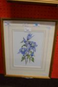 Sara Kenyon (British, contemporary), a pair of botanical watercolours, signed, framed and glazed (