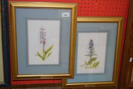 J E Looke, studies Bugle and Early Purple Orchid, watercolours, gilt framed and glazed (2)