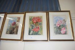 Group of three Botanical studies, watercolours, framed and glazed