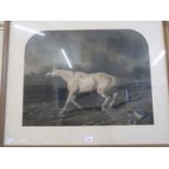 Coloured print, Warhorse, framed and glazed