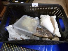 Box of various mineral samples, sea shells etc