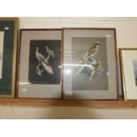 Pair of watercolour and feather pictures of birds, framed and glazed