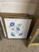 Three framed and glazed of British flora