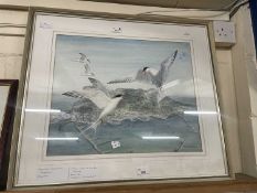 Patricia Elise McCarthy Morrogh, Ballymena, Country Antrim, Turns over Gibralta, watercolour, glazed