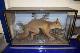 20th Century taxidermy fox in naturalistic case, glass to side damaged