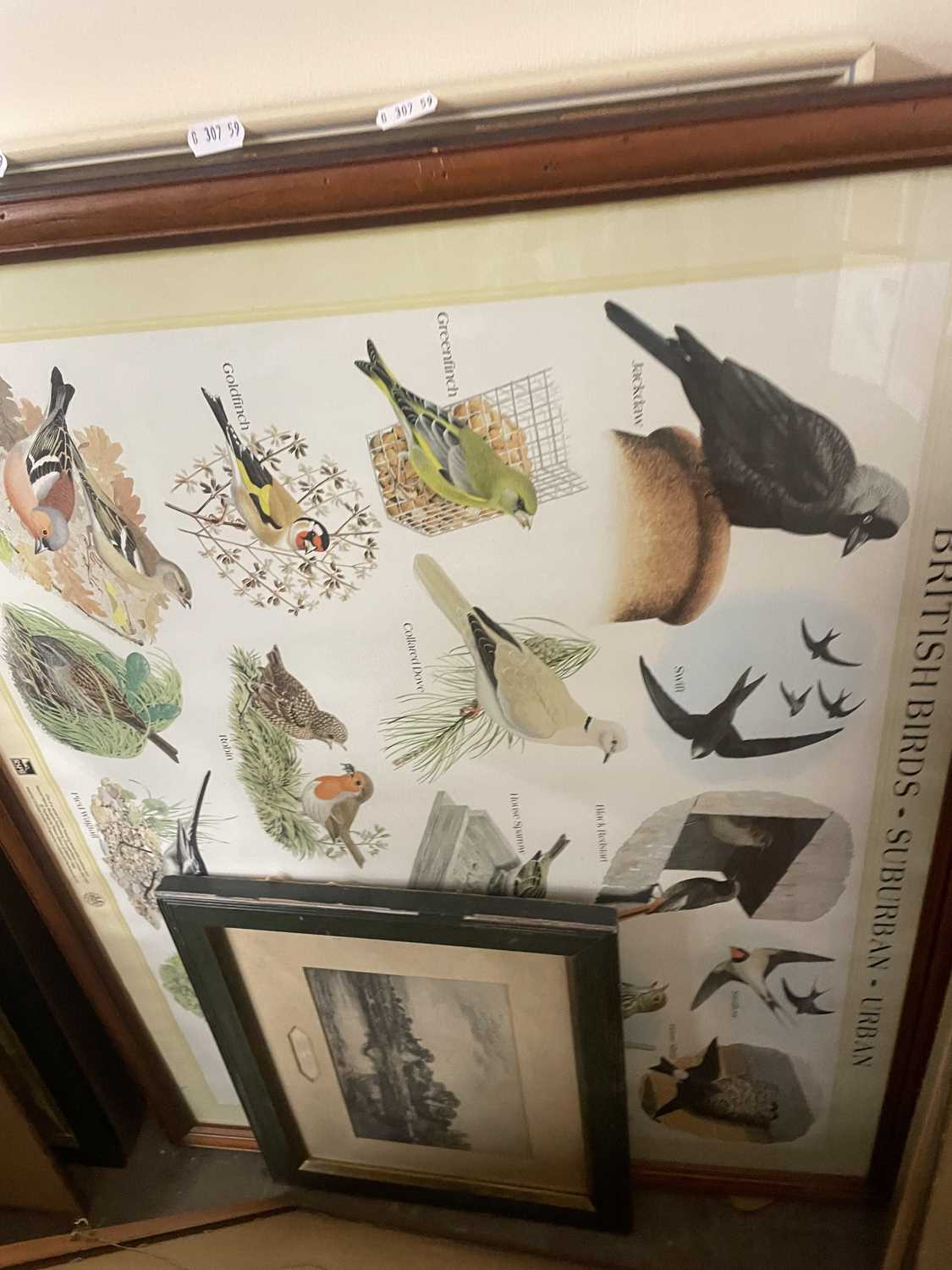 Mixed Lot: Various assorted pictures to include a British Birds poster - Image 7 of 7