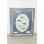 Framed group of five fishing flies