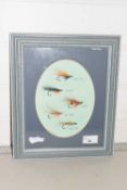 Framed group of five fishing flies