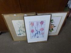 Three botanical prints, framed and two glazed